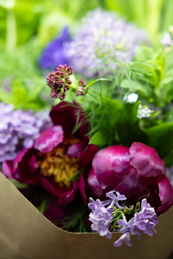 Dans ce sonnet, Rimbaud se met en scène comme un jeune voyageur amoureux de la nature, qui y trouve une inspiration vivifiante. Le sous-titre Fantaisie et le titre annoncent un ton léger et libre. Si le poème conserve des éléments traditionnels comme la forme du sonnet, l’alexandrin ou les références à la littérature antique et médiévale, il révèle aussi une certaine modernité et revisite des thèmes littéraires comme l’amour, l’errance ou la nature. Sous une apparence fantaisiste et humoristique, ce sonnet annonce déjà les orientations futures du jeune poète. L’association du voyage et de la poésie privilégie l’expérience du bateau ivre et montre la tentative, à la fois éclatante et désespérée, de renouveler la poésie au-delà des formes traditionnelles.