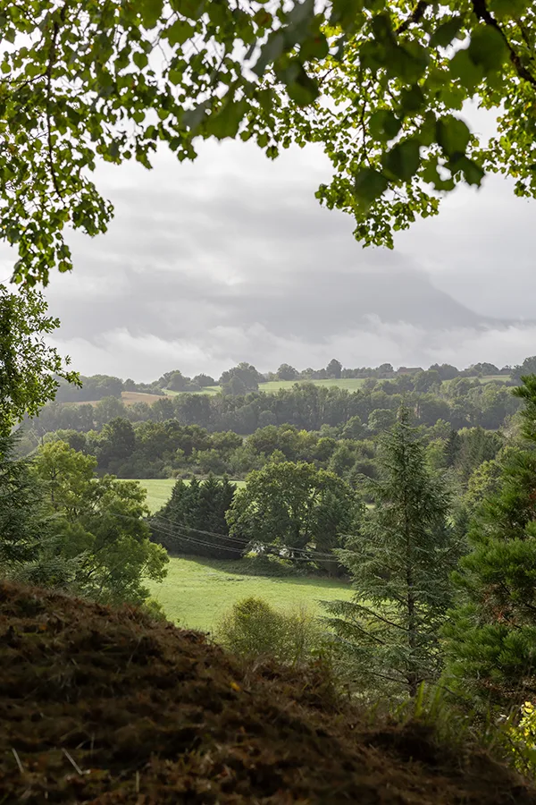 photographie vente immobilière