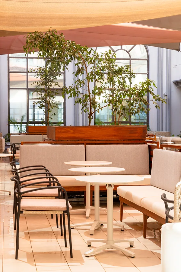 photographie bar restaurant hôtel Paris