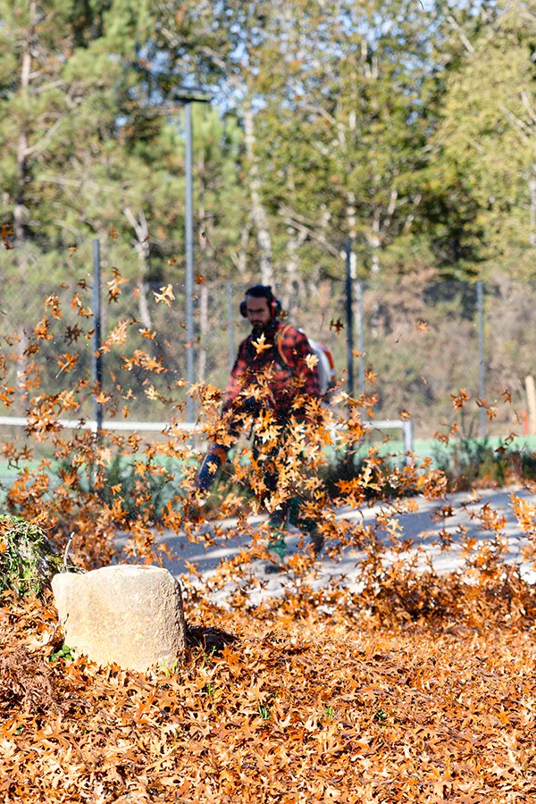 photo reportage jardinier, entretien jardin