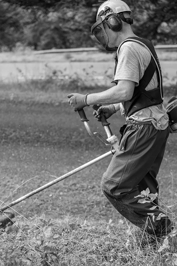photo reportage jardinier, entretien jardin