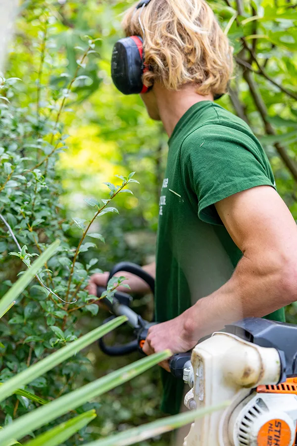 photo reportage jardinier, entretien jardin