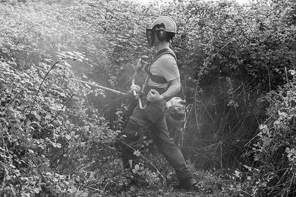 photo reportage jardinier, entretien jardin